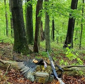 Meet your Posher, Frank